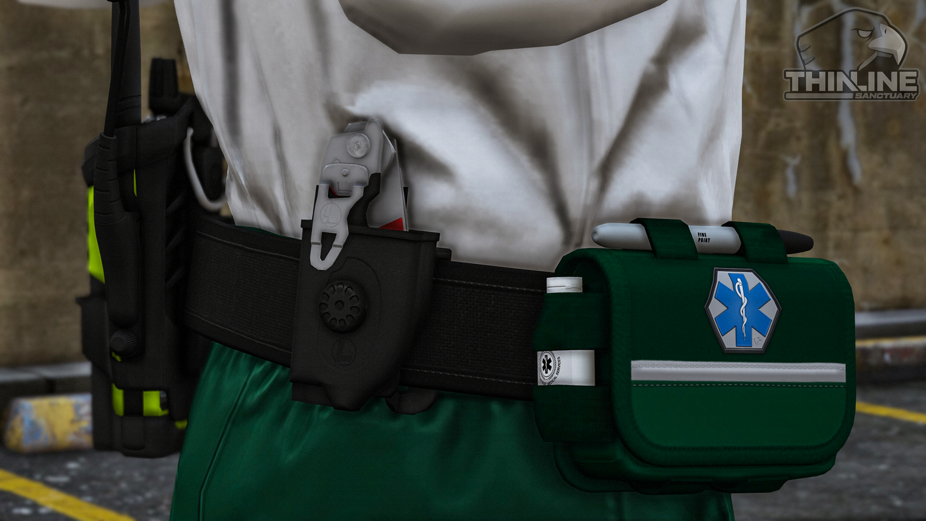 EMS Belt Package ThinLineSanctuary ems-belt-package-thinlinesanctuary