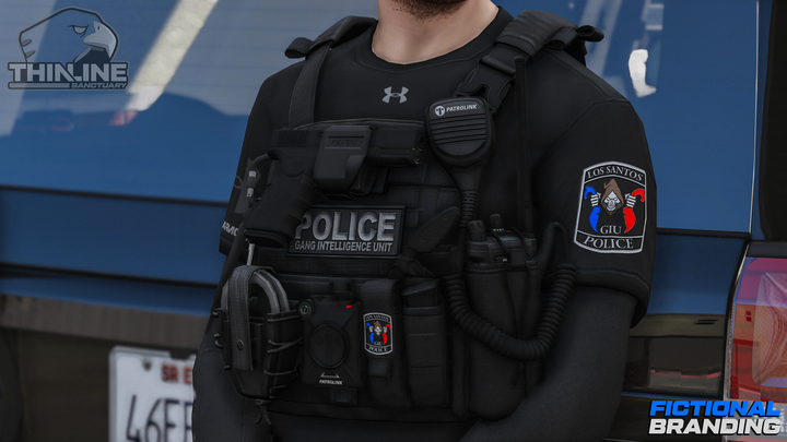 Support de plaque Crye AVS