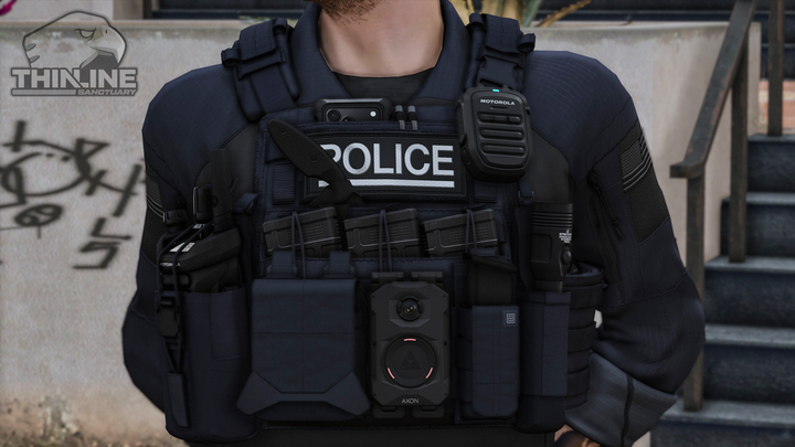 Crye Cage Plate Carrier: Patrol
