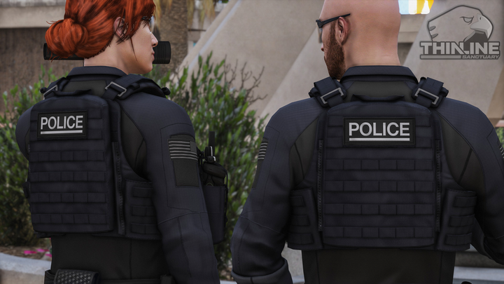 Crye Cage Plate Carrier: Patrol