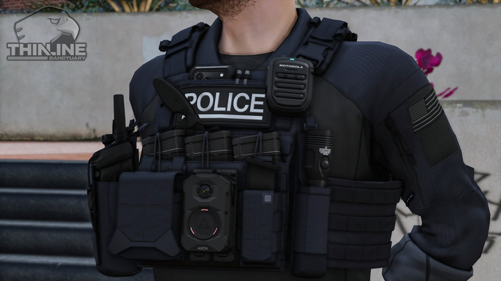 Crye Cage Plate Carrier: Patrol