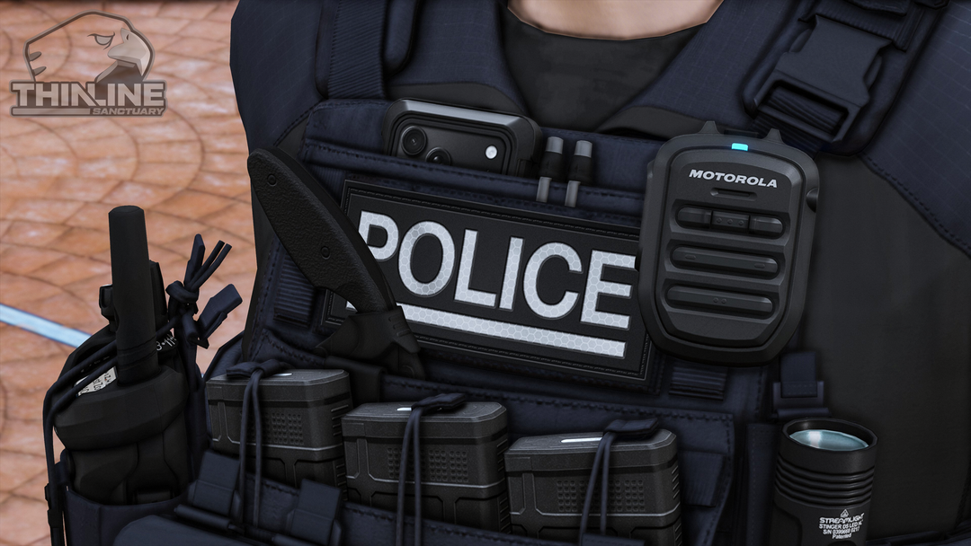 Crye Cage Plate Carrier: Patrol