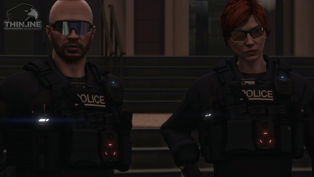 Crye Cage Plate Carrier: Patrol