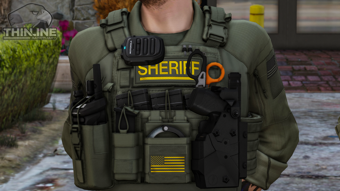 Crye Cage Plate Carrier: Patrol