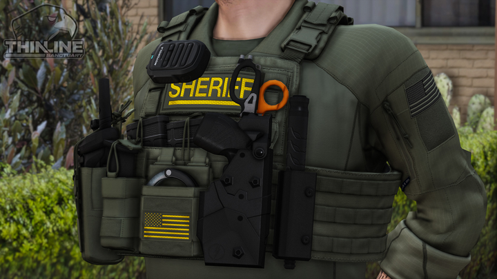 Crye Cage Plate Carrier: Patrol