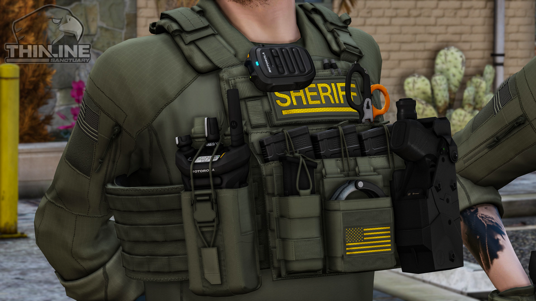 Crye Cage Plate Carrier: Patrol