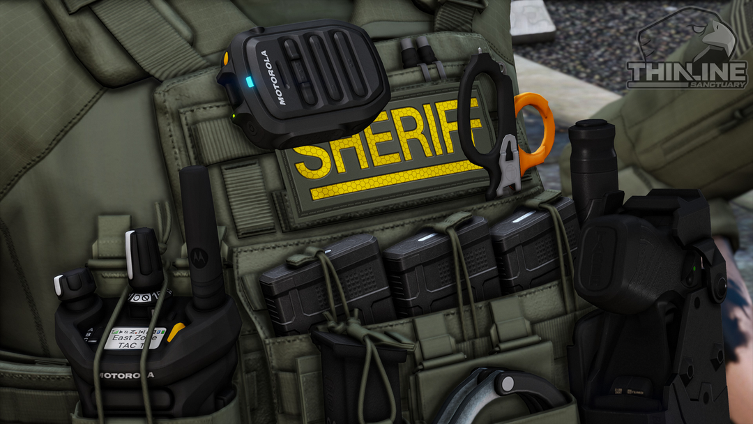Crye Cage Plate Carrier: Patrol