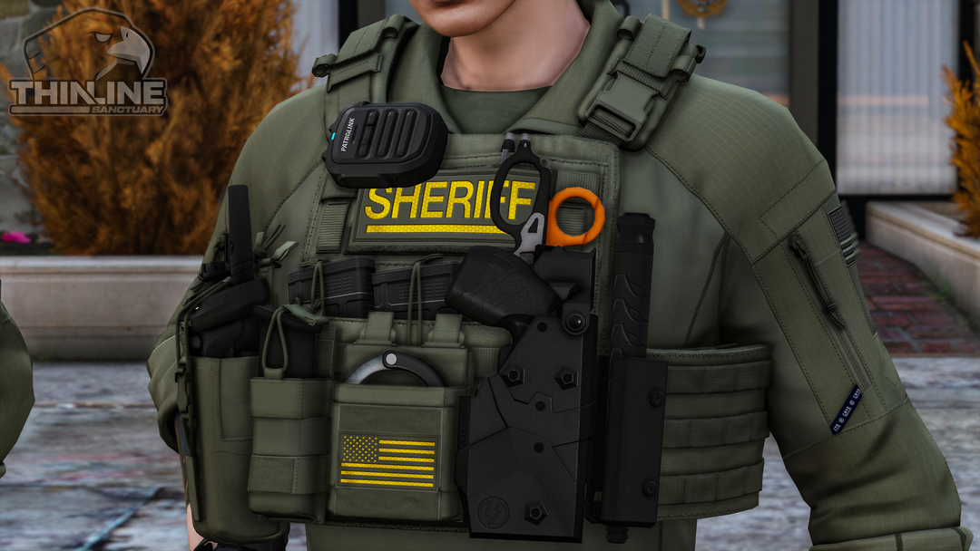 Crye Cage Plate Carrier: Patrol