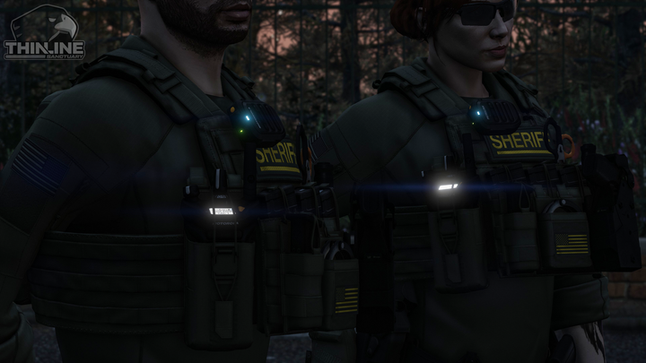 Crye Cage Plate Carrier: Patrol