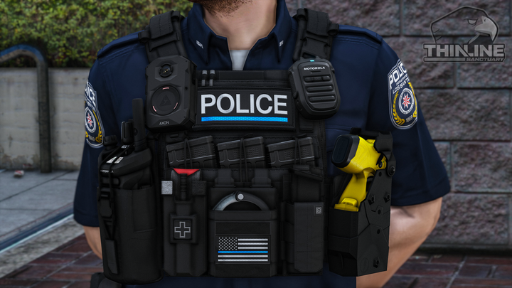 Crye Cage Plate Carrier: Patrol