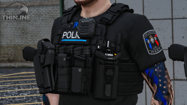 Crye Cage Plate Carrier: Patrol