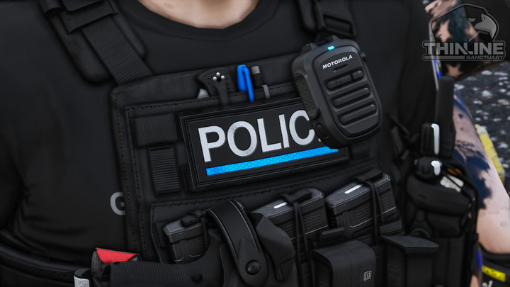 Crye Cage Plate Carrier: Patrol