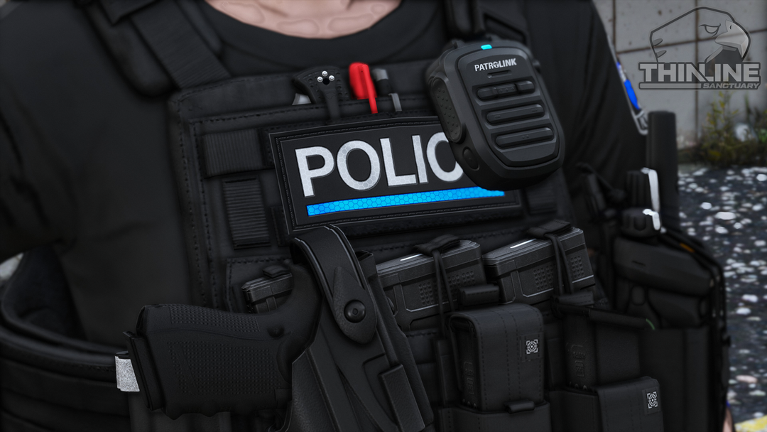 Crye Cage Plate Carrier: Patrol