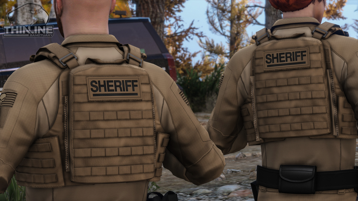 Crye Cage Plate Carrier: Patrol