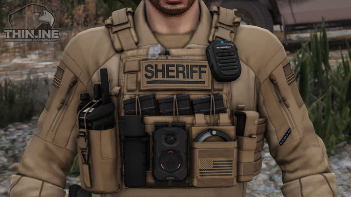 Crye Cage Plate Carrier: Patrol