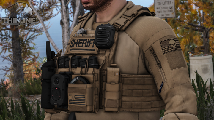 Crye Cage Plate Carrier: Patrol