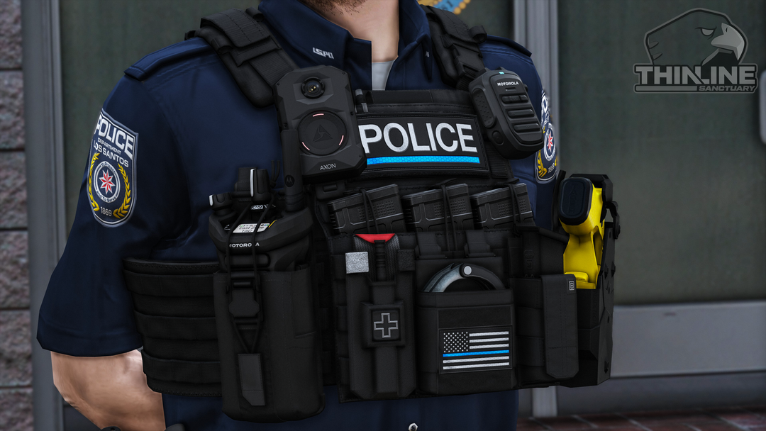 Crye Cage Plate Carrier: Patrol