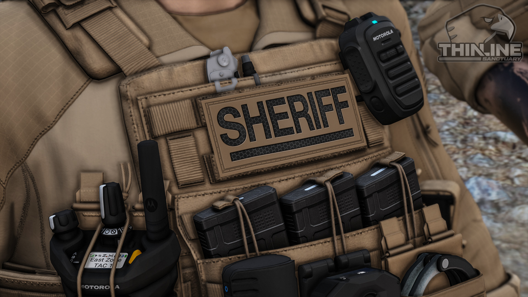 Crye Cage Plate Carrier: Patrol
