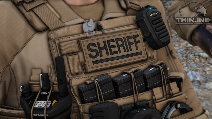 Crye Cage Plate Carrier: Patrol