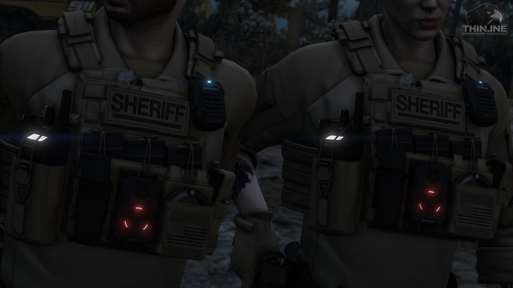 Crye Cage Plate Carrier: Patrol