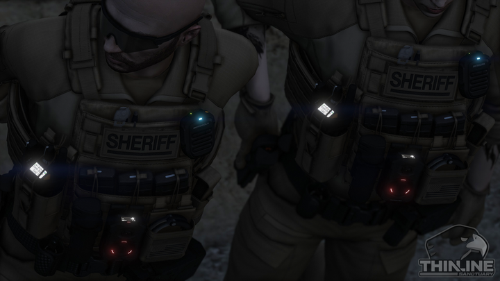 Crye Cage Plate Carrier: Patrol
