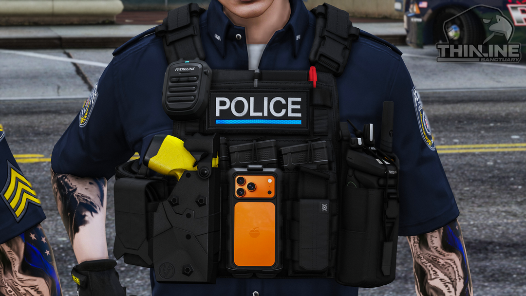 Crye Cage Plate Carrier: Patrol