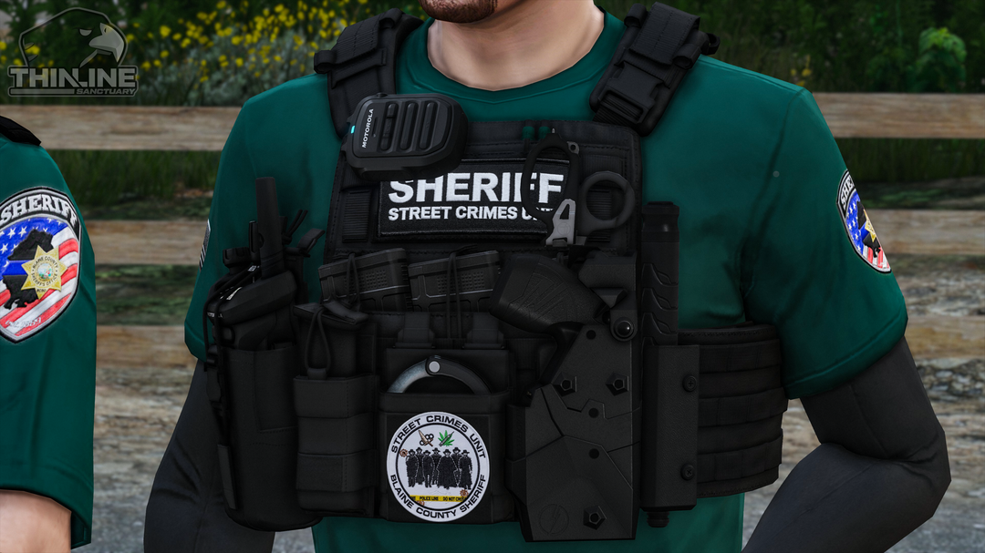 Crye Cage Plate Carrier: Patrol