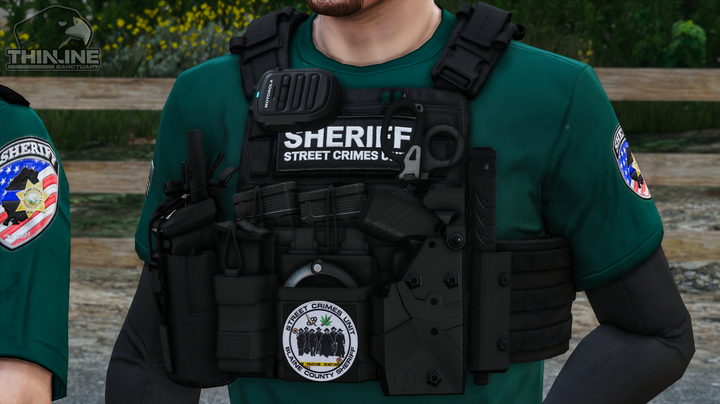 Crye Cage Plate Carrier: Patrol