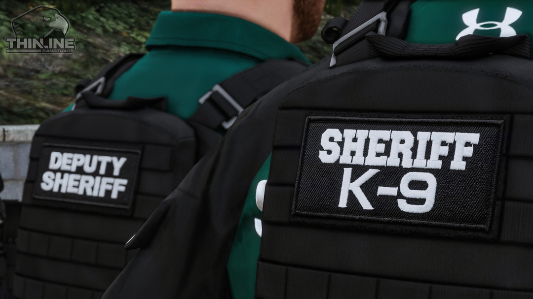 Crye Cage Plate Carrier: Patrol