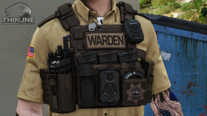 Crye Cage Plate Carrier: Patrol