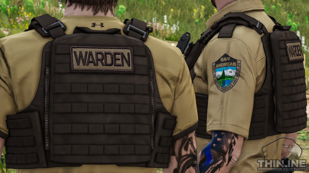 Crye Cage Plate Carrier: Patrol