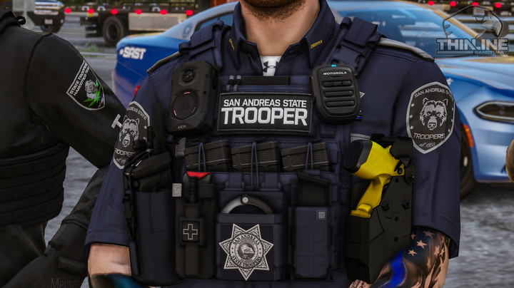 Crye Cage Plate Carrier: Patrol