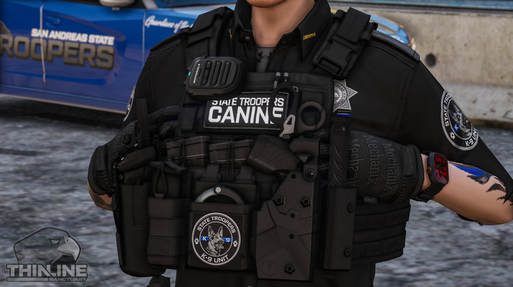 Crye Cage Plate Carrier: Patrol