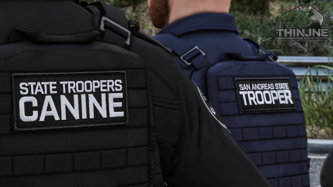 Crye Cage Plate Carrier: Patrol