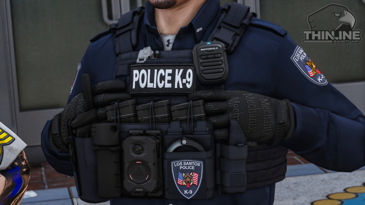 Crye Cage Plate Carrier: Patrol