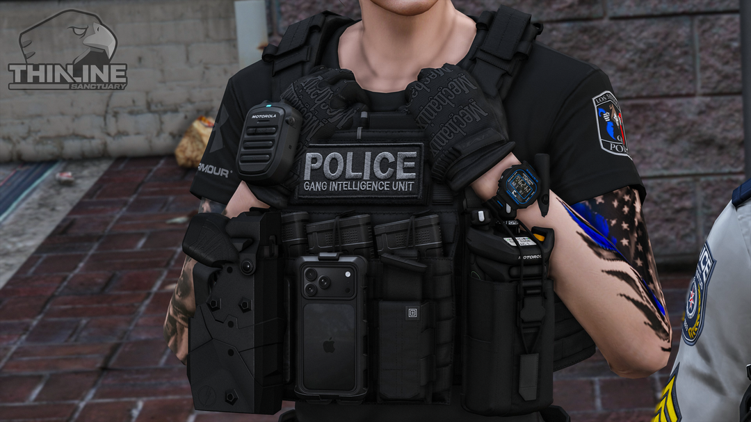 Crye Cage Plate Carrier: Patrol