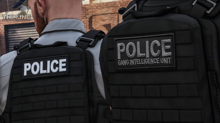 Crye Cage Plate Carrier: Patrol