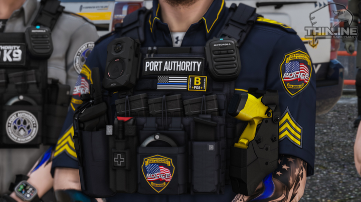 Crye Cage Plate Carrier: Patrol