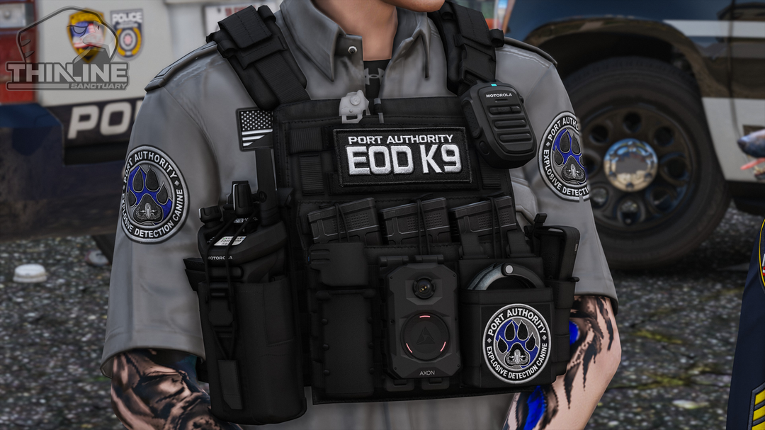 Crye Cage Plate Carrier: Patrol