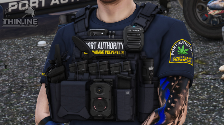 Crye Cage Plate Carrier: Patrol