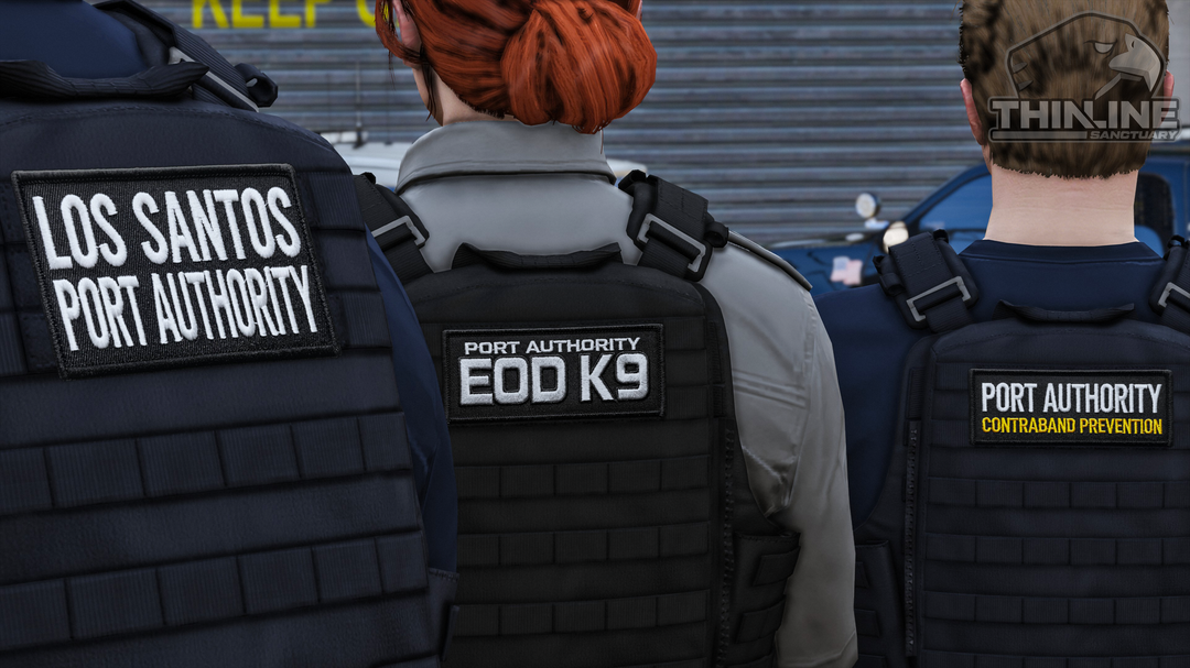 Crye Cage Plate Carrier: Patrol