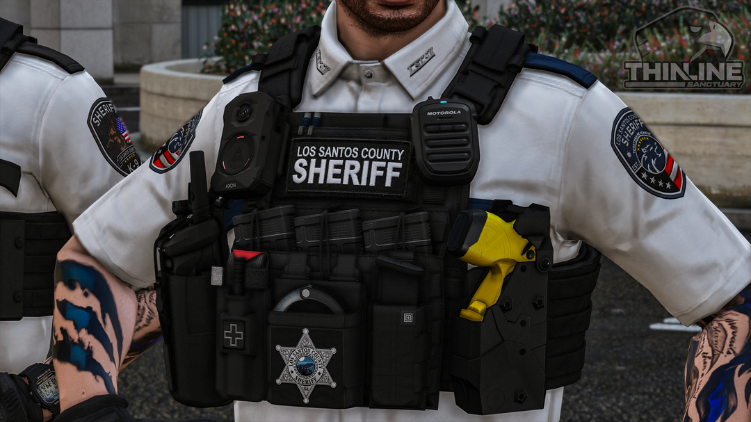 Crye Cage Plate Carrier: Patrol