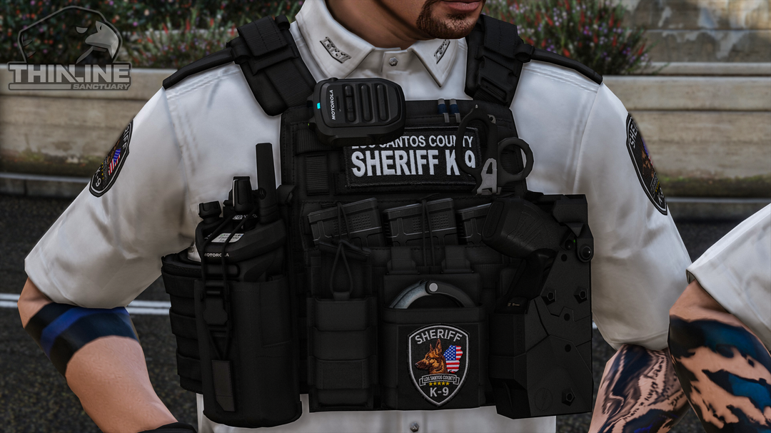 Crye Cage Plate Carrier: Patrol