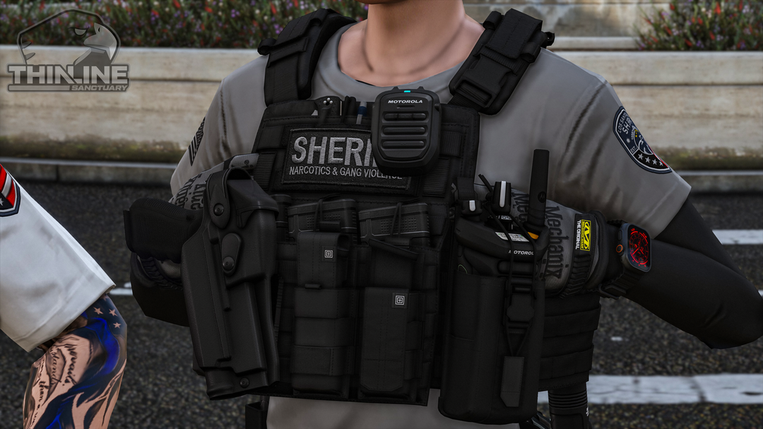 Crye Cage Plate Carrier: Patrol