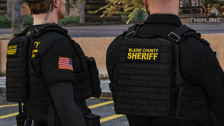 Crye Cage Plate Carrier: Patrol