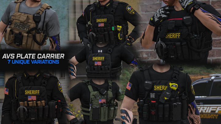Support de plaque Crye AVS