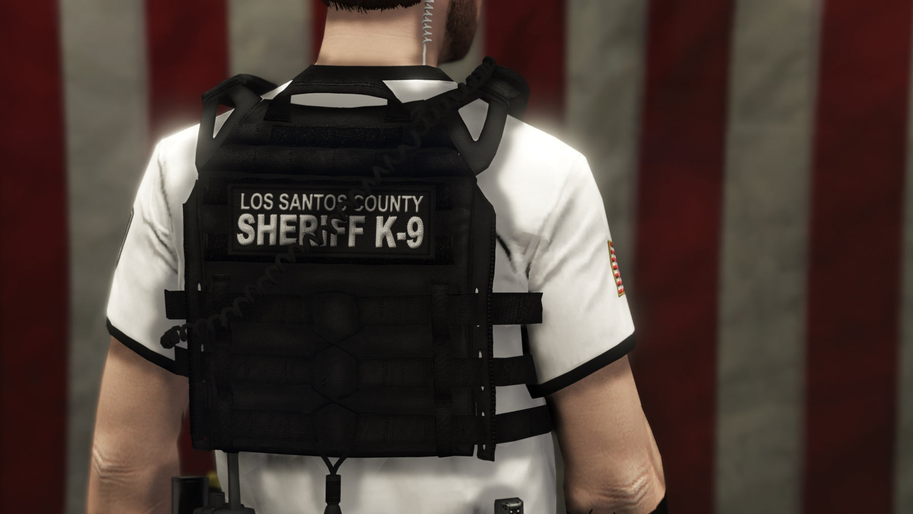 LSCSO Uniform Package – ThinLineSanctuary