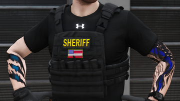 Crye AVS Plate Carrier
