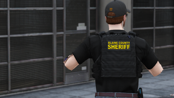 Crye AVS Plate Carrier