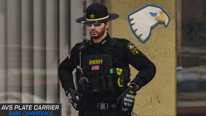 Support de plaque Crye AVS